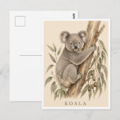 Koala-Postkarte | Bush Edition Postkarte (Vorne/Hinten)