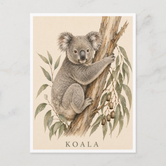 Koala-Postkarte | Bush Edition Postkarte (Vorderseite)