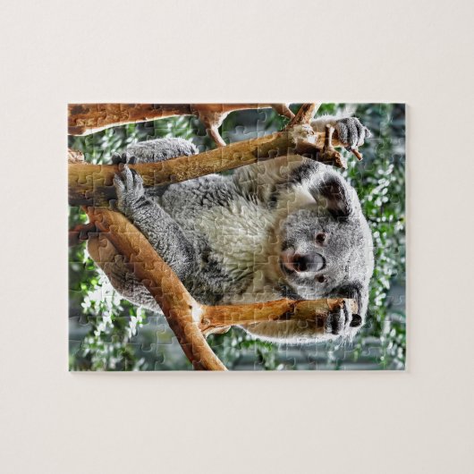 Koala Puzzle (Horizontal)