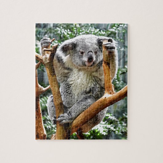Koala Puzzle (Vertikal)