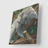 Koala Quadratische Wanduhr (Winkel)