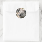 Koala Runder Aufkleber (Tasche)