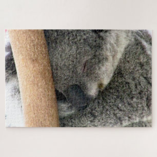Koala Schlaf Puzzle