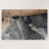 Koala Schlaf Puzzle (Horizontal)