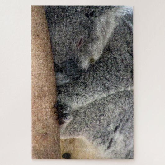 Koala Schlaf Puzzle (Vertikal)