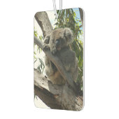 Koala - Schlafen Autolufterfrischer (Links)