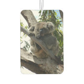 Koala - Schlafen Autolufterfrischer (Rückseite)