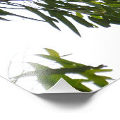 Koala - Schlafen Fotodruck (Ecke)