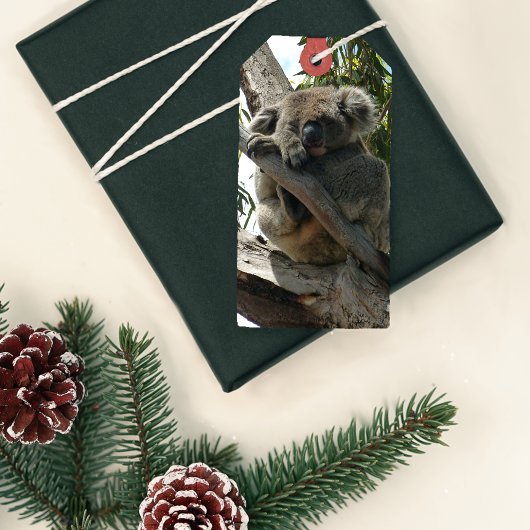Koala - Schlafen Geschenkanhänger