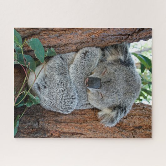 Koala schlafen, Jigsaw Puzzle (Horizontal)