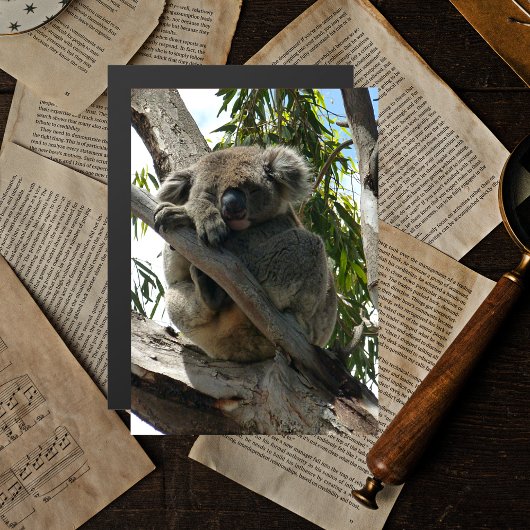Koala - Schlafen Magnetkarte