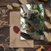 Koala - Schlafen Magnetkarte