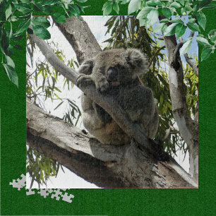 Koala - Schlafen Puzzle