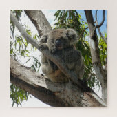 Koala - Schlafen Puzzle (Vertikal)