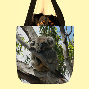 Koala - Schlafen Tasche