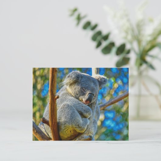 Koala schläft friedlich in einem Baum Postkarte (Stehend Vorderseite)
