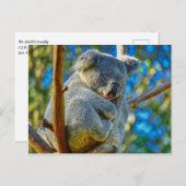 Koala schläft friedlich in einem Baum Postkarte (Vorne/Hinten)