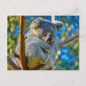 Koala schläft friedlich in einem Baum Postkarte (Vorderseite)