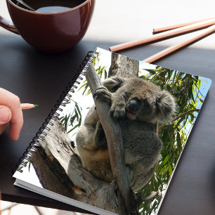 Koala - Schläft Notizblock