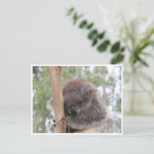 Koala schläft postkarte (Stehend Vorderseite)
