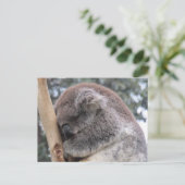 Koala schläft postkarte (Stehend Vorderseite)