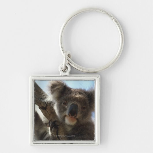 Koala Schlüsselanhänger (Vorne)