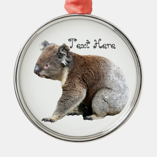 Koala Silbernes Ornament (Vorne)