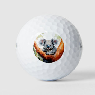 Koala sitzt in einem Eukalyptusbaum Golfball