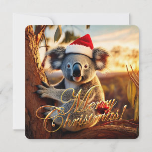Koala sitzt in Gumtree Frohe Weihnachten