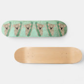 Koala Skateboard (Horizontal)