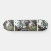 Koala-Skateboard Skateboard (Horizontal)