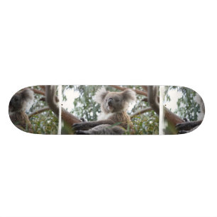 Koala-Skateboard Skateboard