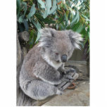 Koala-Skulptur Freistehende Fotoskulptur<br><div class="desc">Koala sind,  groß in den Bildern aber verbessern sogar,  wann es eine Skulptur ist</div>