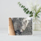koala sleepy postkarte (Stehend Vorderseite)
