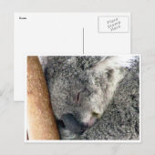 koala sleepy postkarte (Vorne/Hinten)