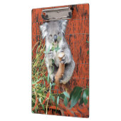 Koala Snack Time Clipboard Klemmbrett (Links)