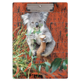 Koala Snack Time Clipboard Klemmbrett