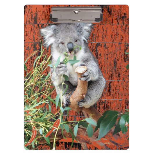 Koala Snack Time Clipboard Klemmbrett (Vorderseite)