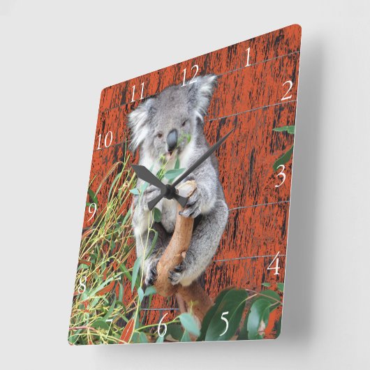 Koala Snack Time Clock Quadratische Wanduhr (Winkel)