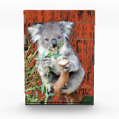 Koala Snack Time Foto Block (Vorderseite)