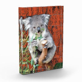 Koala Snack Time Foto Block