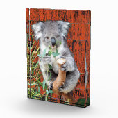 Koala Snack Time Foto Block (Rechts)