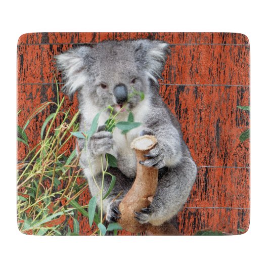 Koala Snack Time Glass Chopping Board Schneidebrett (Vorderseite)