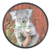 Koala Snack Time Hockey Puck (Vorderseite)