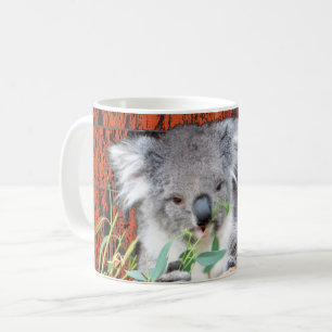 Koala Snack Time Kaffeetasse
