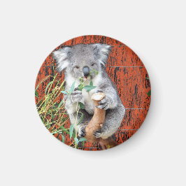 Koala Snack Time Magnet