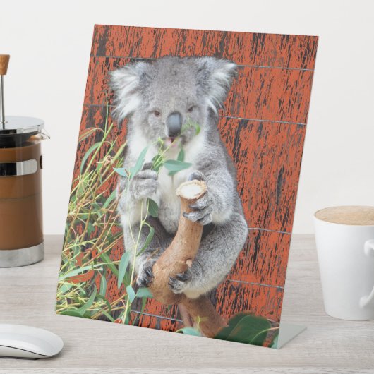 Koala Snack Time Pedestal Sign Sockelschild (In Situ)