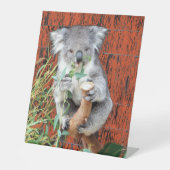 Koala Snack Time Pedestal Sign Sockelschild (Vorderseite)
