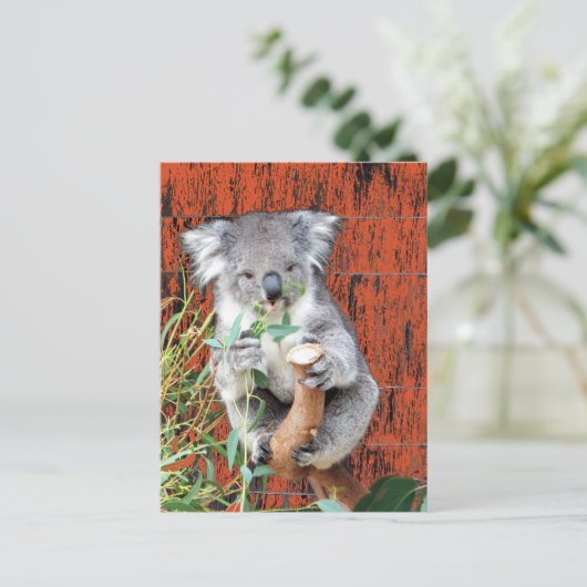 Koala Snack Time Postcard Postkarte (Stehend Vorderseite)
