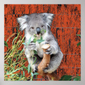 Koala Snack Time Poster (Vorne)